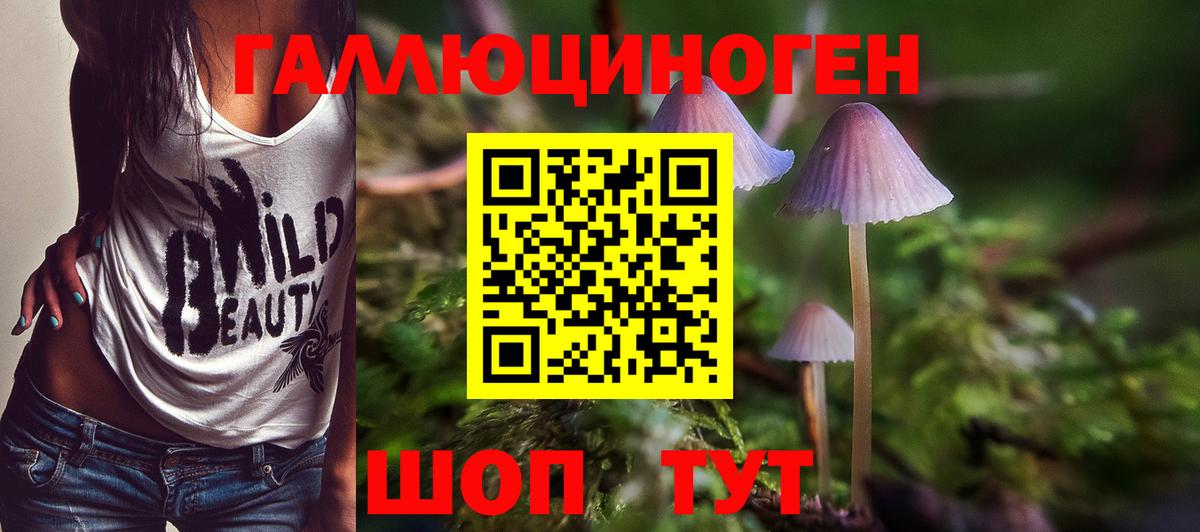 Псилоцибиновые грибы GOLDEN TEACHER Большой Камень
