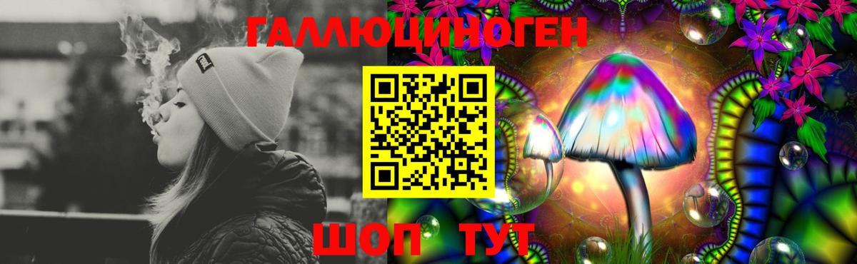 Псилоцибиновые грибы Psilocybine cubensis  Вход с VPN  цена наркотик  Большой Камень  Галлюциногенные грибы Cubensis 